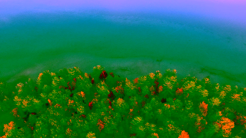 Wildlife monitoring with UAVs