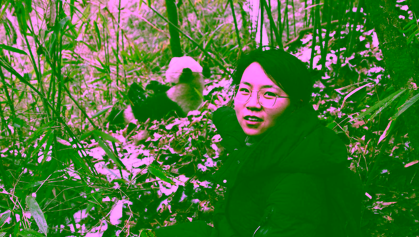 AI helps scientists see what giant pandas see
