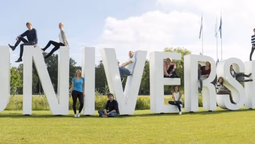 360 degree peer feedback process