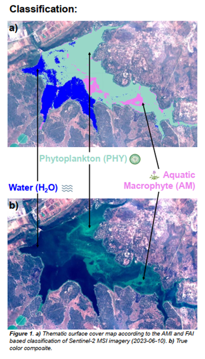 Thematic surface cover map